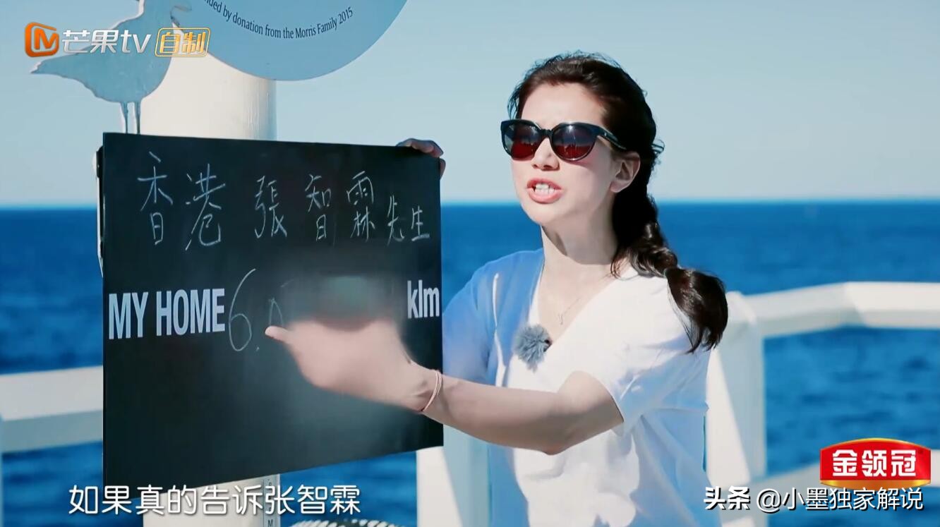 张智霖查袁咏仪通话记录,张智霖袁咏仪默契大考验太逗了