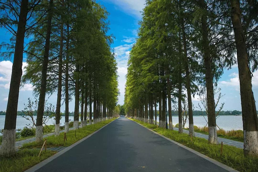 武汉最近几年的新变化,武汉最近都有什么变化