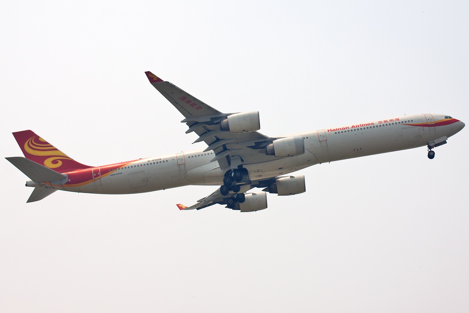 能飞起来的飞机视频,能飞起来的小型航班飞机