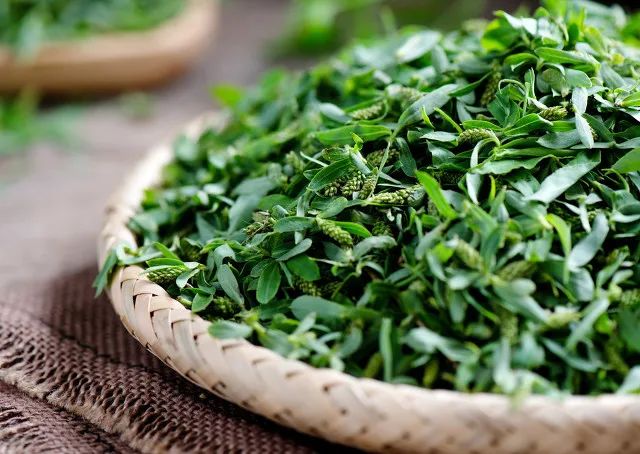 春日小野菜*戏调**指南