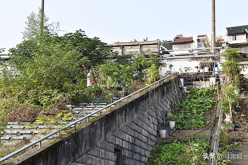 重庆力帆足球现状,重庆力帆足球场现状