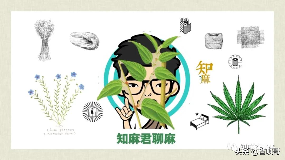 秒破皱巴巴的夏威夷，让亚*衣麻**物随时拎得出，你需要一些小秘诀