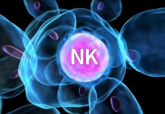 最新科研进展nk免疫细胞治疗癌症,抗癌药物组合物