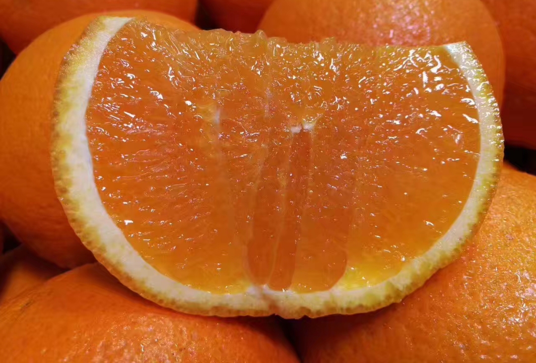 全球十大名橙排名,国内外名橙