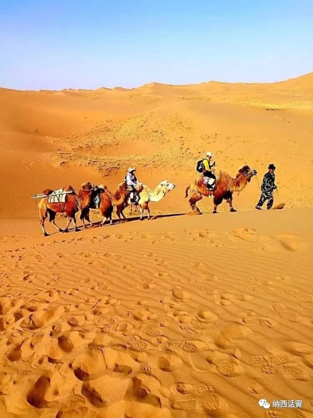 叶紫被雷劈穿越到异界,关于叶紫的穿越小说