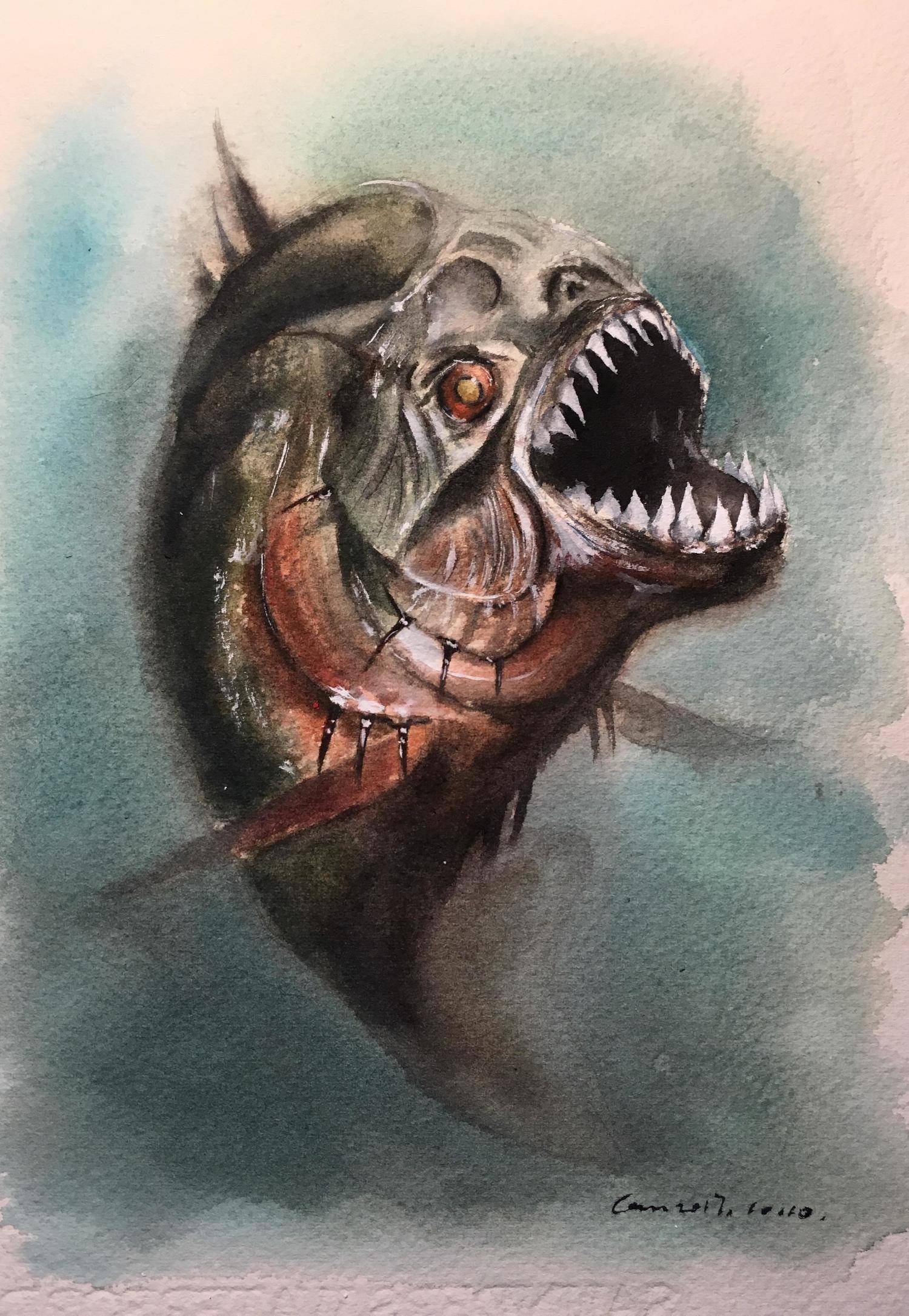 亚马逊河平原地球之肺,地球之肺亚马逊河