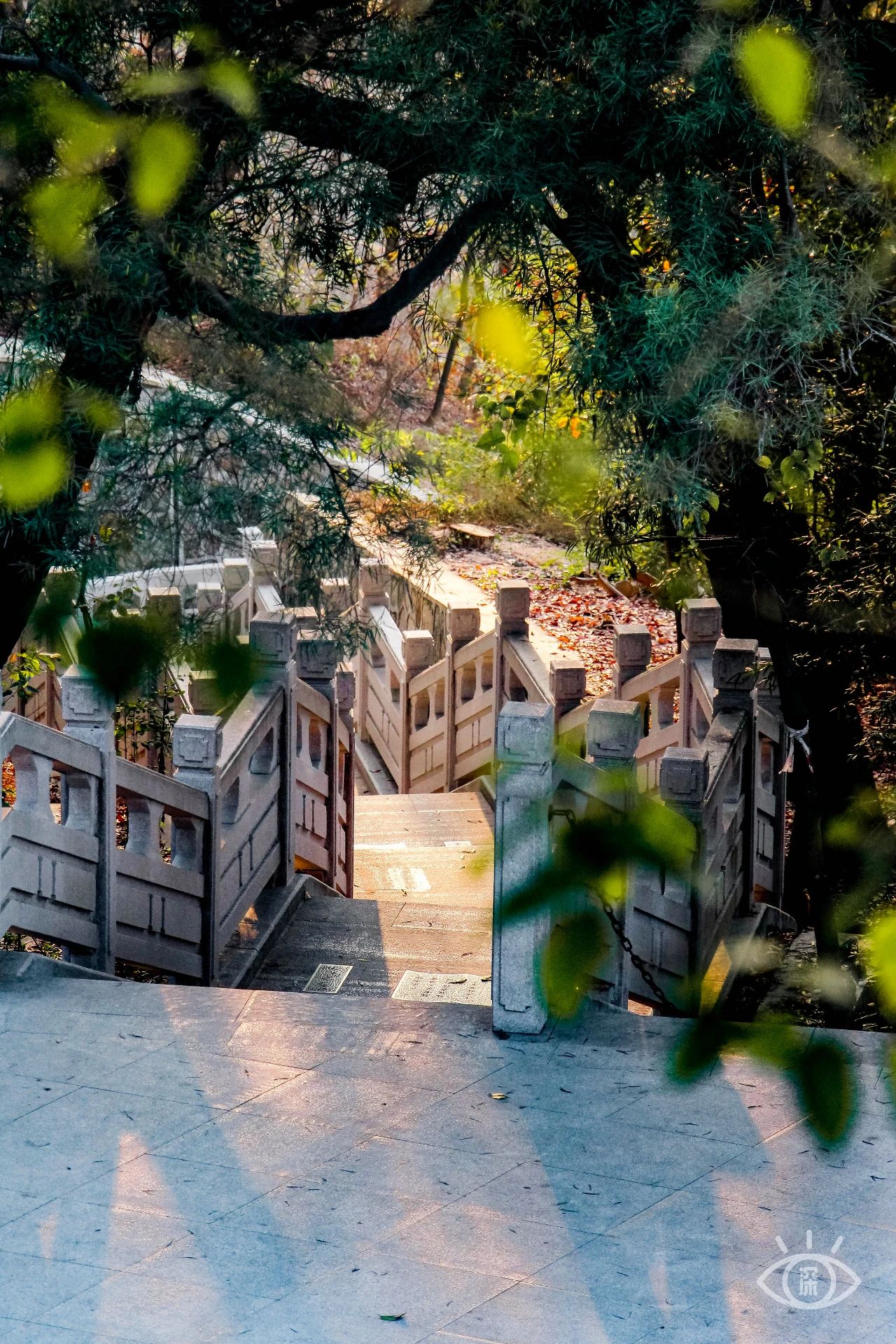 深圳这27个热门游玩地，坐2号线全都能到