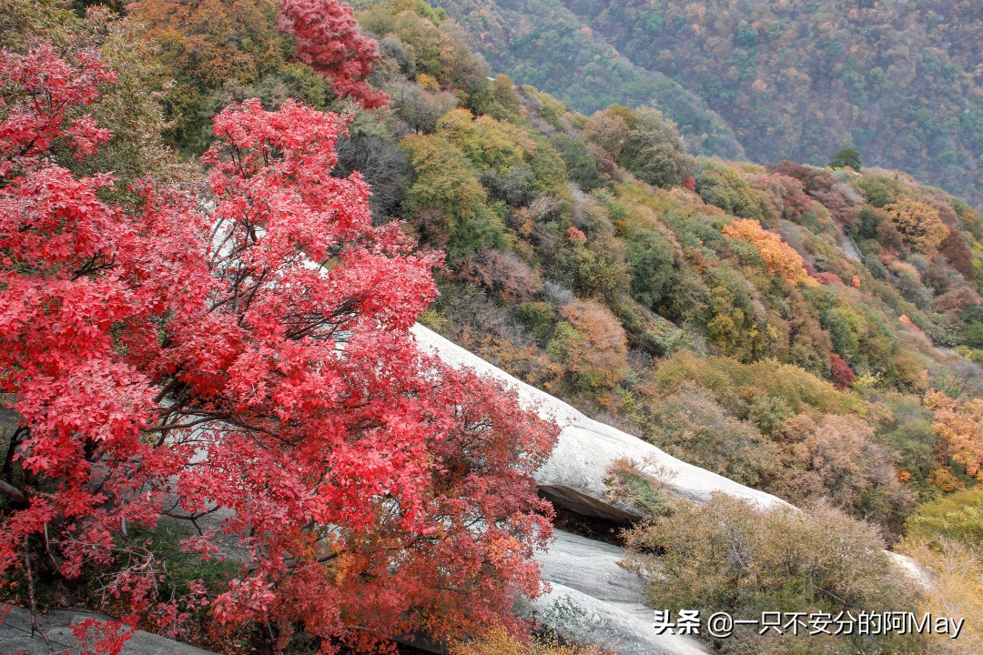 为什么爬华山都是夜爬,华山自古一条道很有必要爬吗