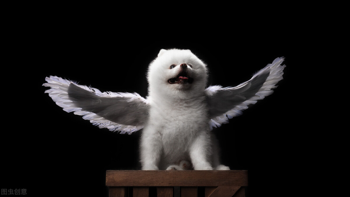 投资、做生意、打工，哪个更挣钱？