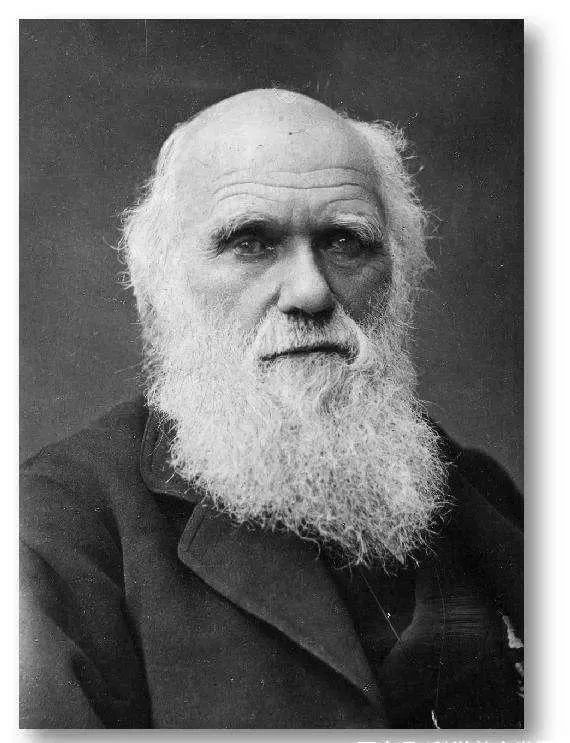 谈谈生物进化的认识,有关生物进化的知识