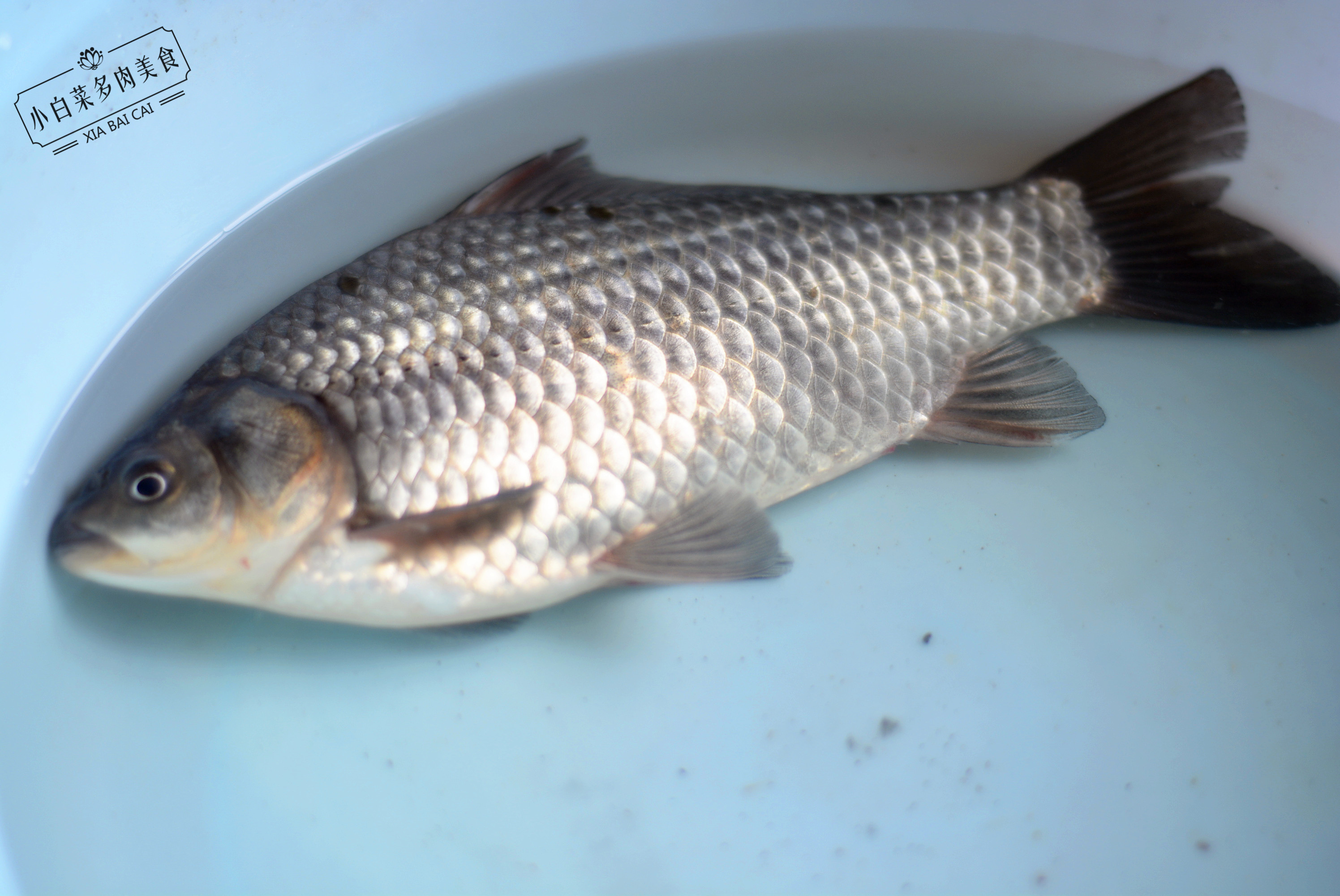 婆婆花5元钱给我买早餐,婆婆花了20块钱煮的水煮鱼