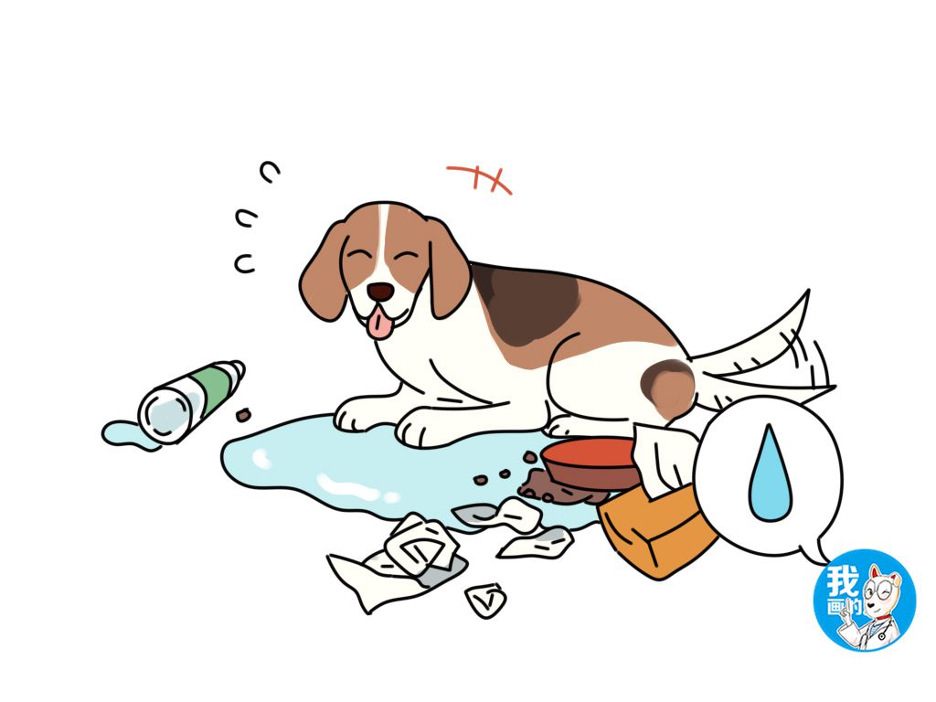 比格犬性格好不好,比格犬为什么是实验犬