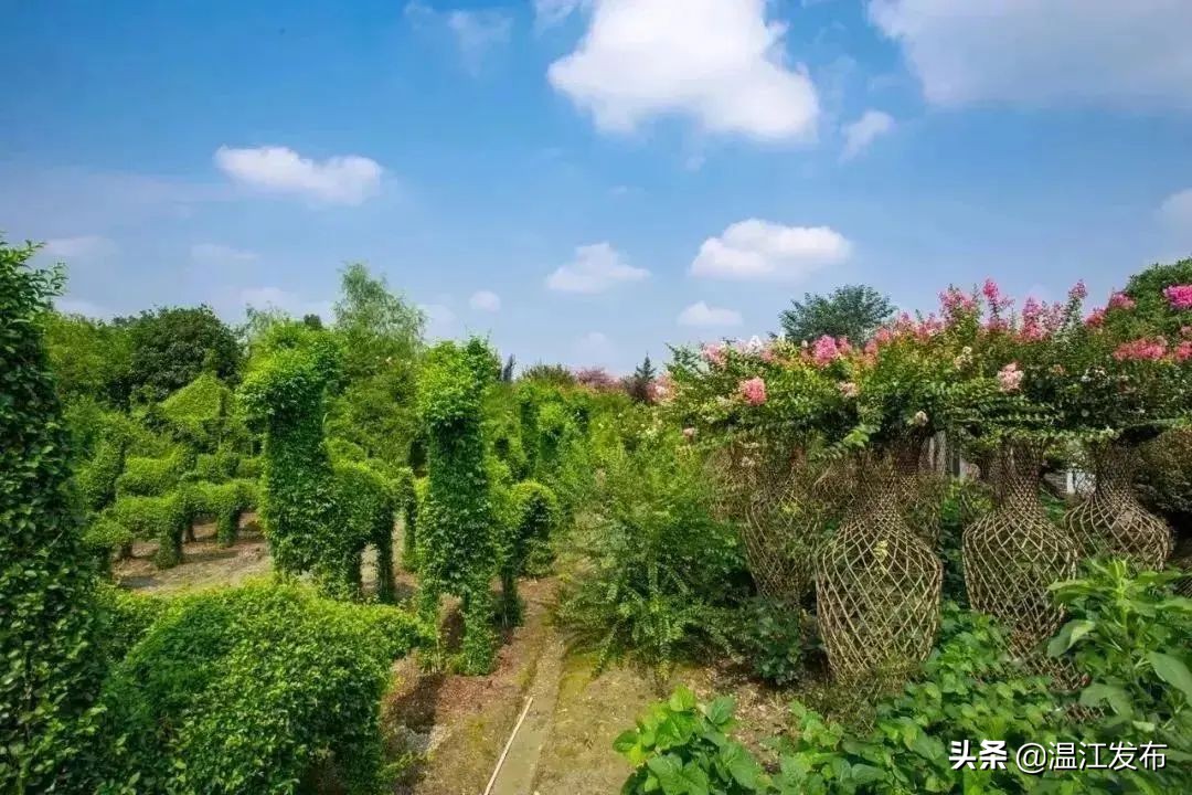 成都温江特色旅游,新旅游潮成都主题旅游目的地