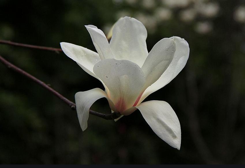 人到中年最好的活法是学会做减法,70后的人活得太累了