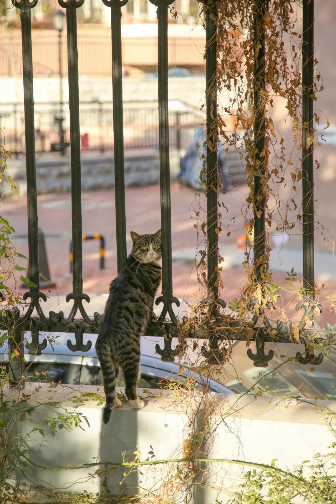 醉美大工秋|读书不觉已秋深，____________