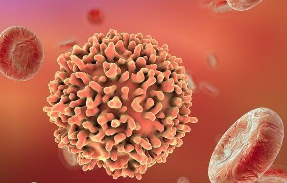 人乳头瘤病毒(HPV)感染诊治专家共识