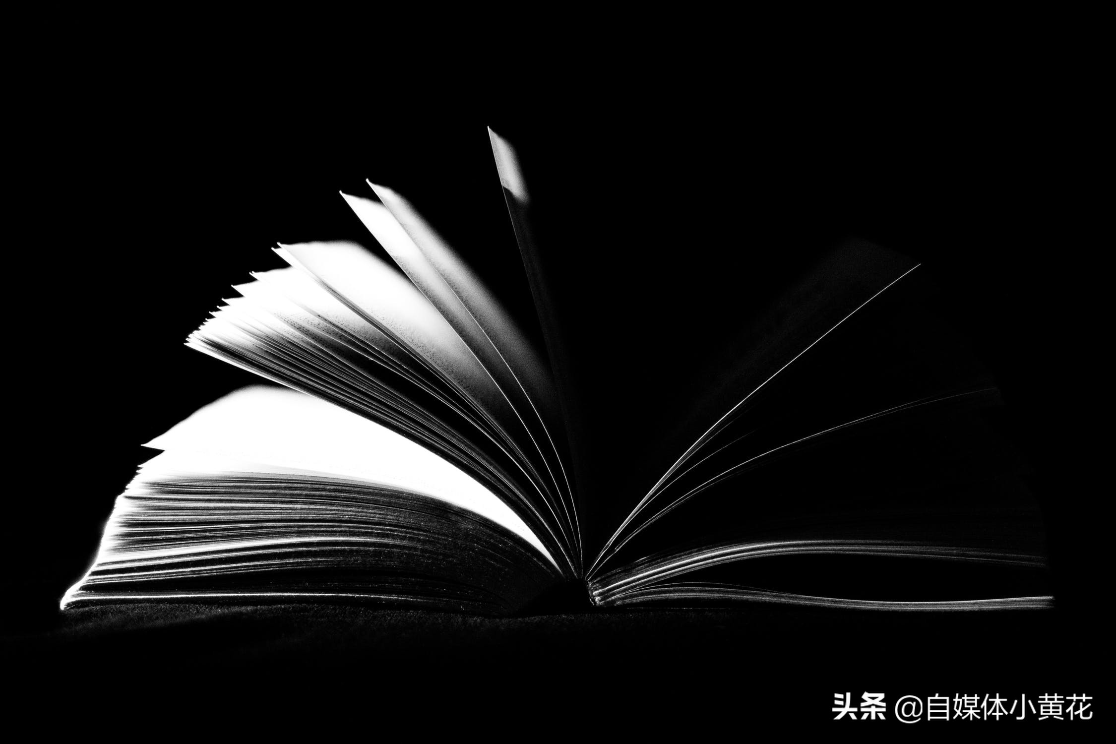 易撰自媒体素材库是免费的吗,易撰爆文标题生成器怎么下载