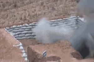 陈鹤皋疯狗拳自由搏击,陈鹤皋疯狗拳宗师