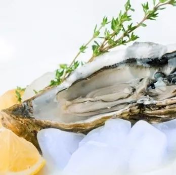 法国旅游特色景点美食,法国首都巴黎美食攻略