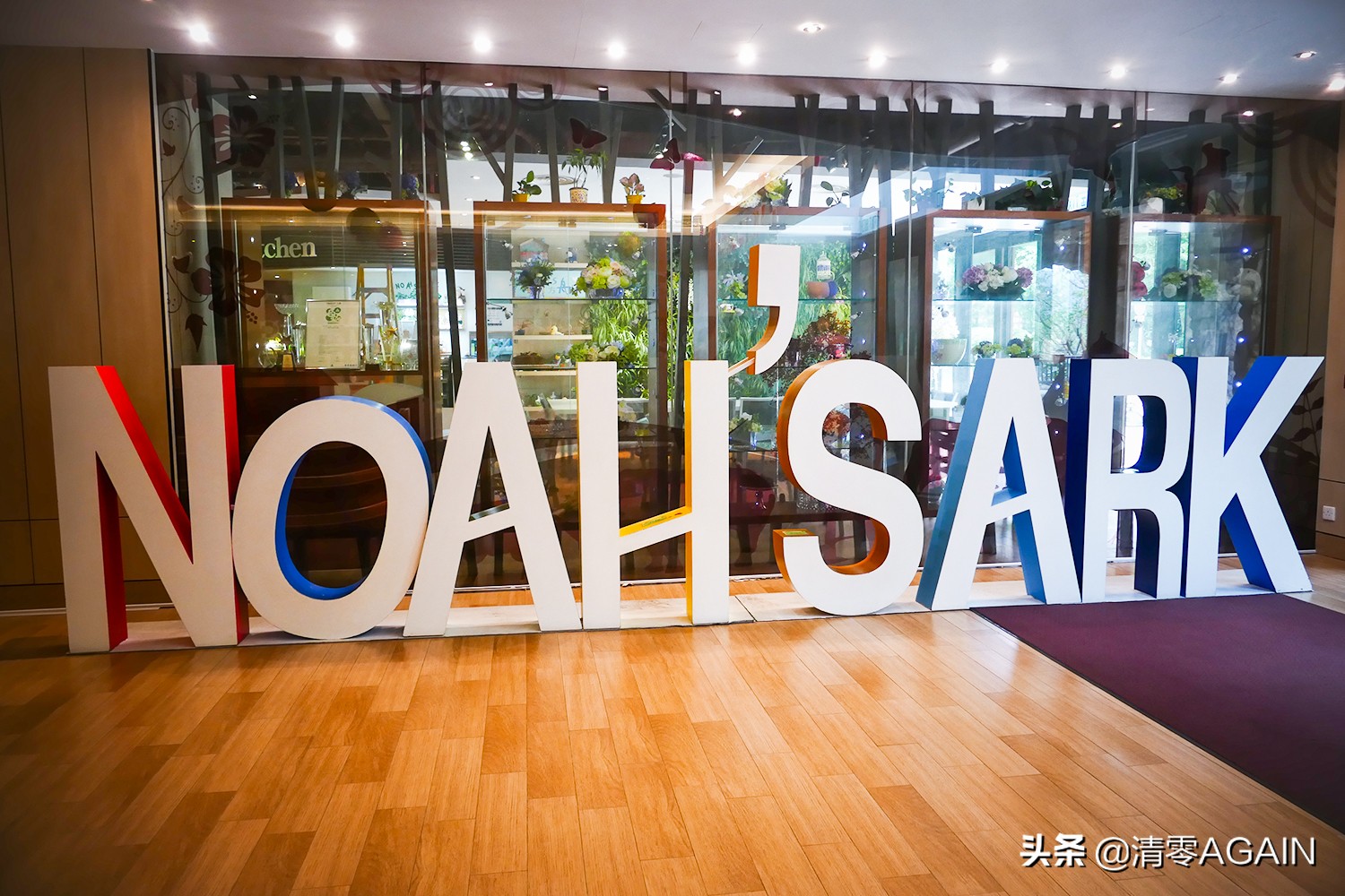 挖掘网红地x另类打卡挪亚方舟的文青路线