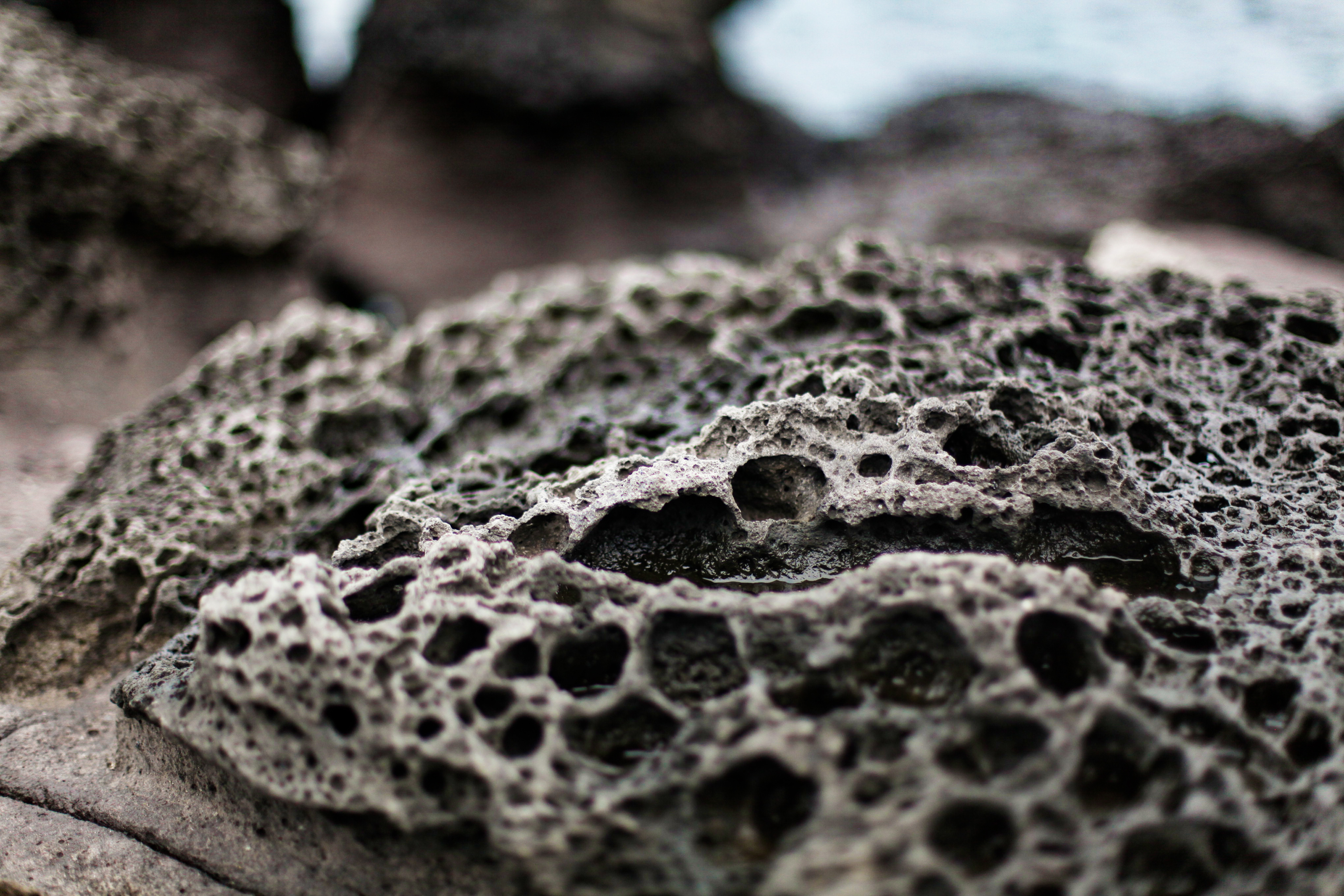 4个人在济州岛渡过4天3晚，收获美景、美食、购物全攻略