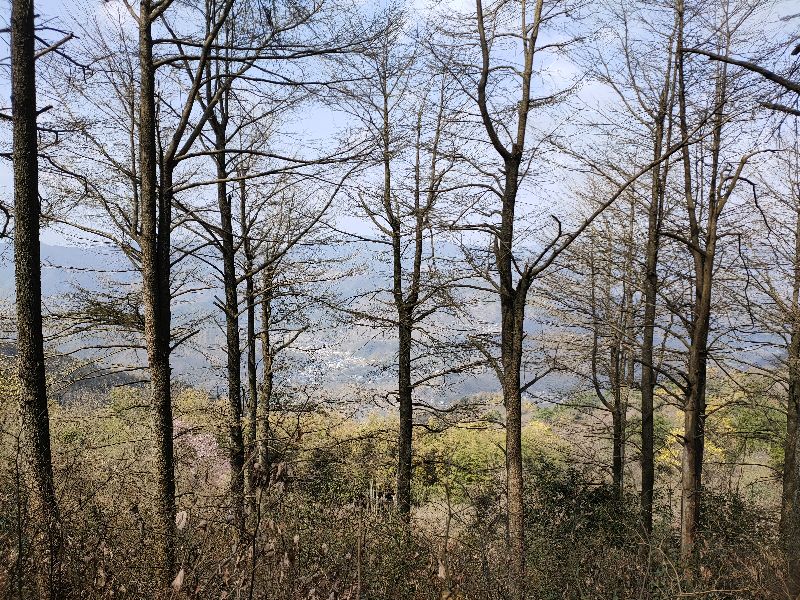 四明山地质公园攻略,宁波四明山地质公园网红打卡