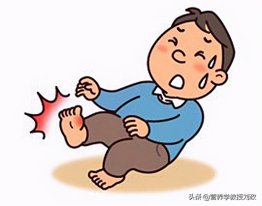 高尿酸血症与痛风诊疗膳食指导,成人高尿酸血症与痛风食养指南