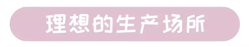 猫咪生产的当天要注意的事项,猫咪生产注意事项