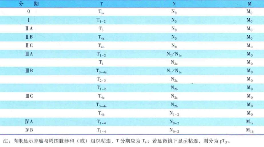 直肠癌的放射治疗ppt,李医生肿瘤切除手术