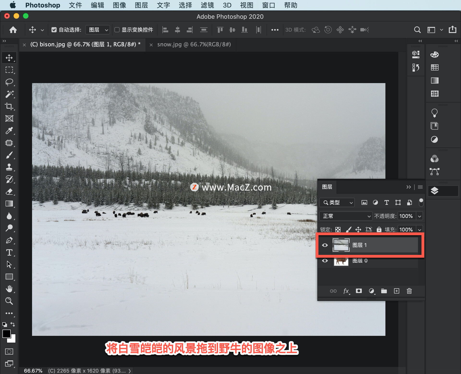 ps中怎么创建选区,ps教程百张相片