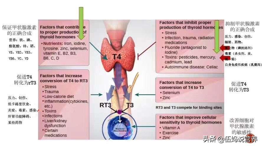 甲状腺有问题如何饮食,甲状腺结节tirads3类饮食要注意吗