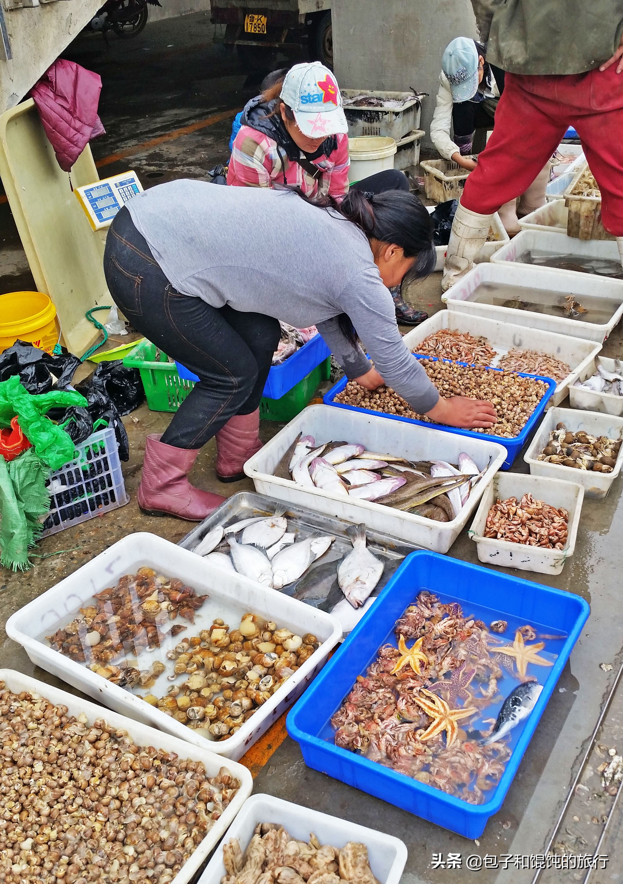 威海海鲜自助餐哪家好吃又实惠,去山东威海吃正宗的海鲜