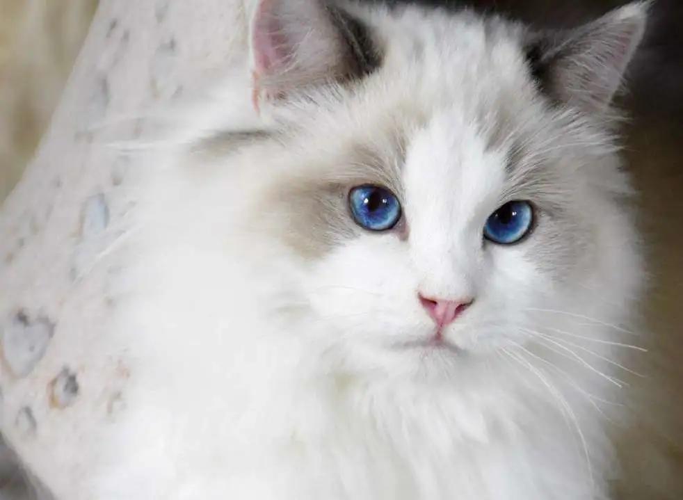 魔都这家商场撒钱啦！百万消费券每日上架即秒光