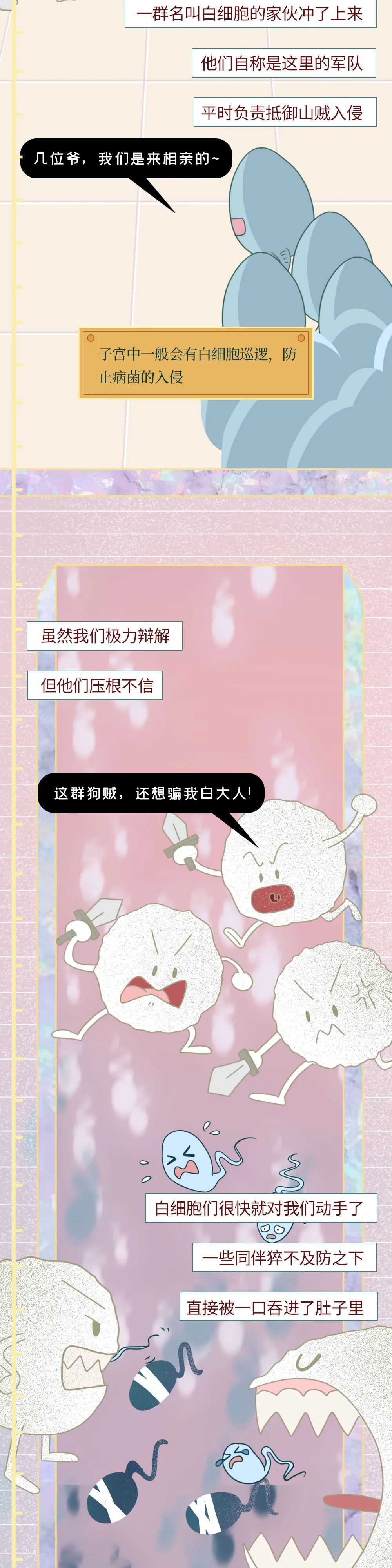 科普知识精子液化后的状态,男性精子在体内存活时间