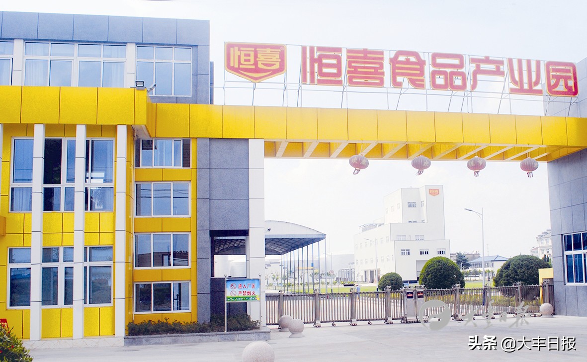 盐城射阳全面加速乡村振兴步伐,盐城聚焦乡村振兴