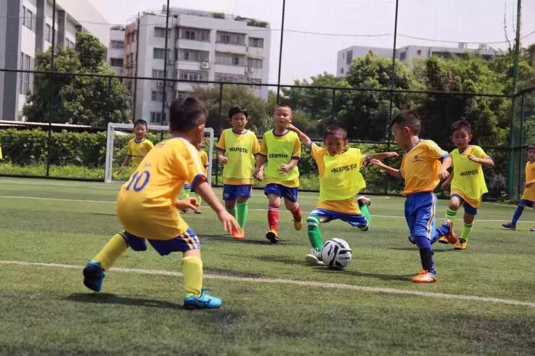 少儿体育培训机构哪家好,广东少儿体育培训机构