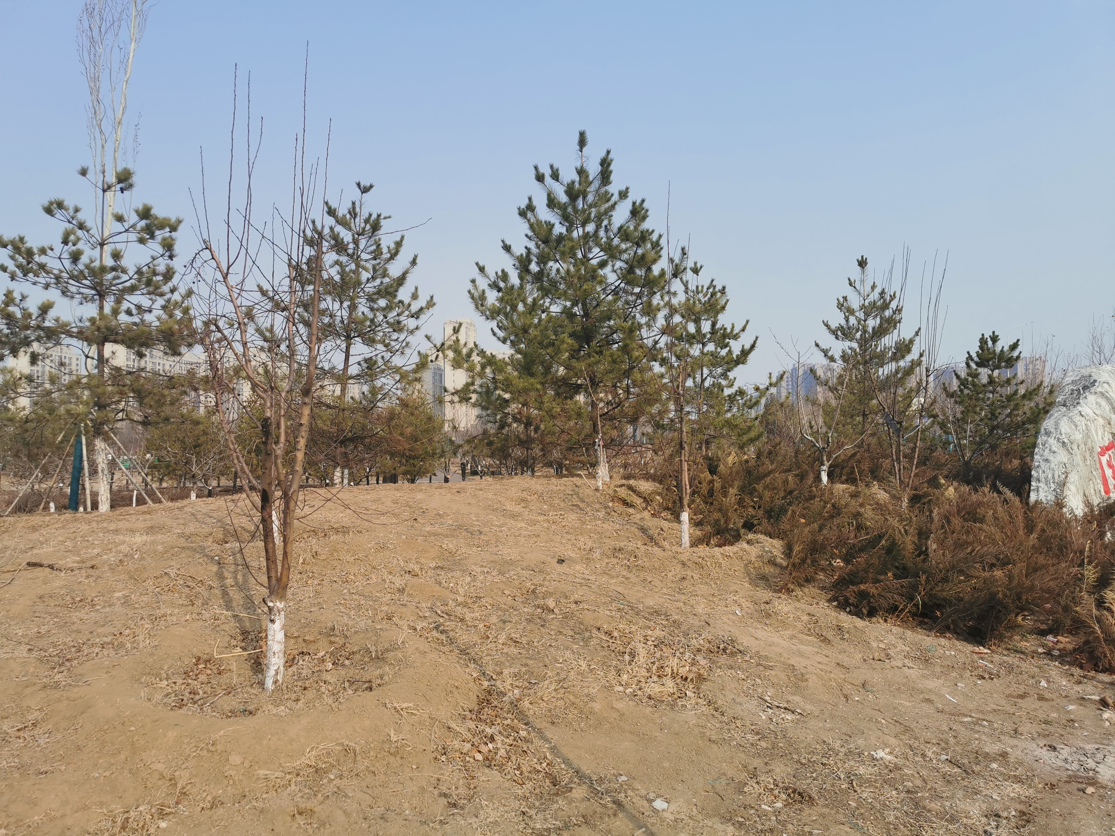 比亚迪唐驾驶基本知识,比亚迪唐驾驶技巧图解