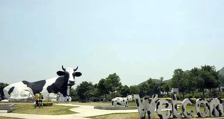 深圳一个让人伤心的城市,泪崩了原唱完整版