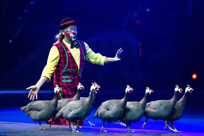 广州长隆野生动物世界的游玩攻略,广州长隆野生动物世界一日游回顾