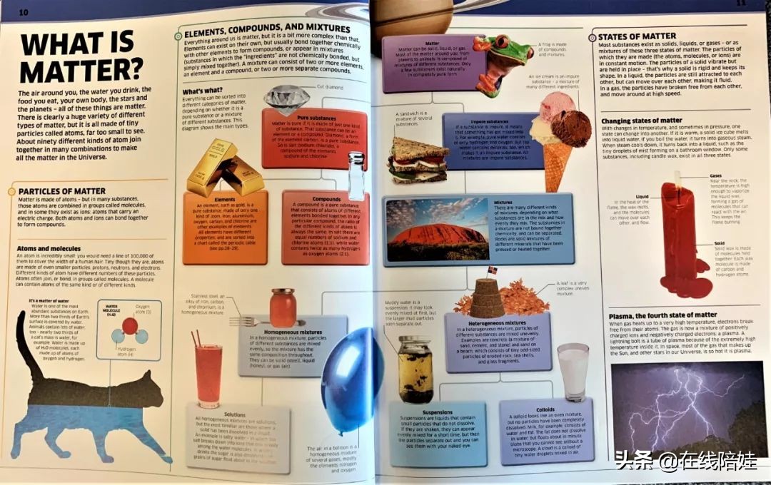 dk知识大百科全套,dk知识大百科书金银版