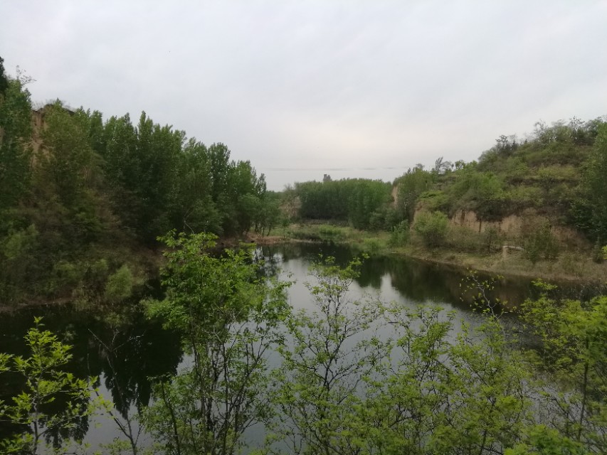 郑州树木园最新视频,郑州树木园现状