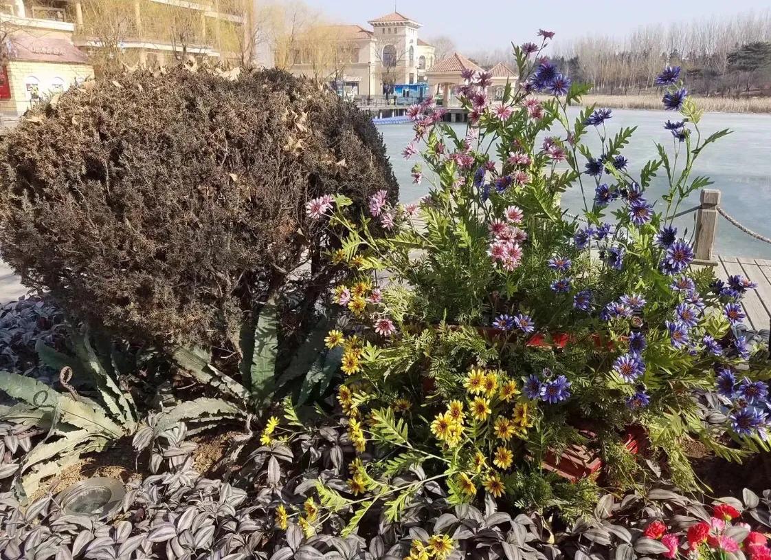 抗癌日记第二天拍摄的视频,抗癌26次放疗