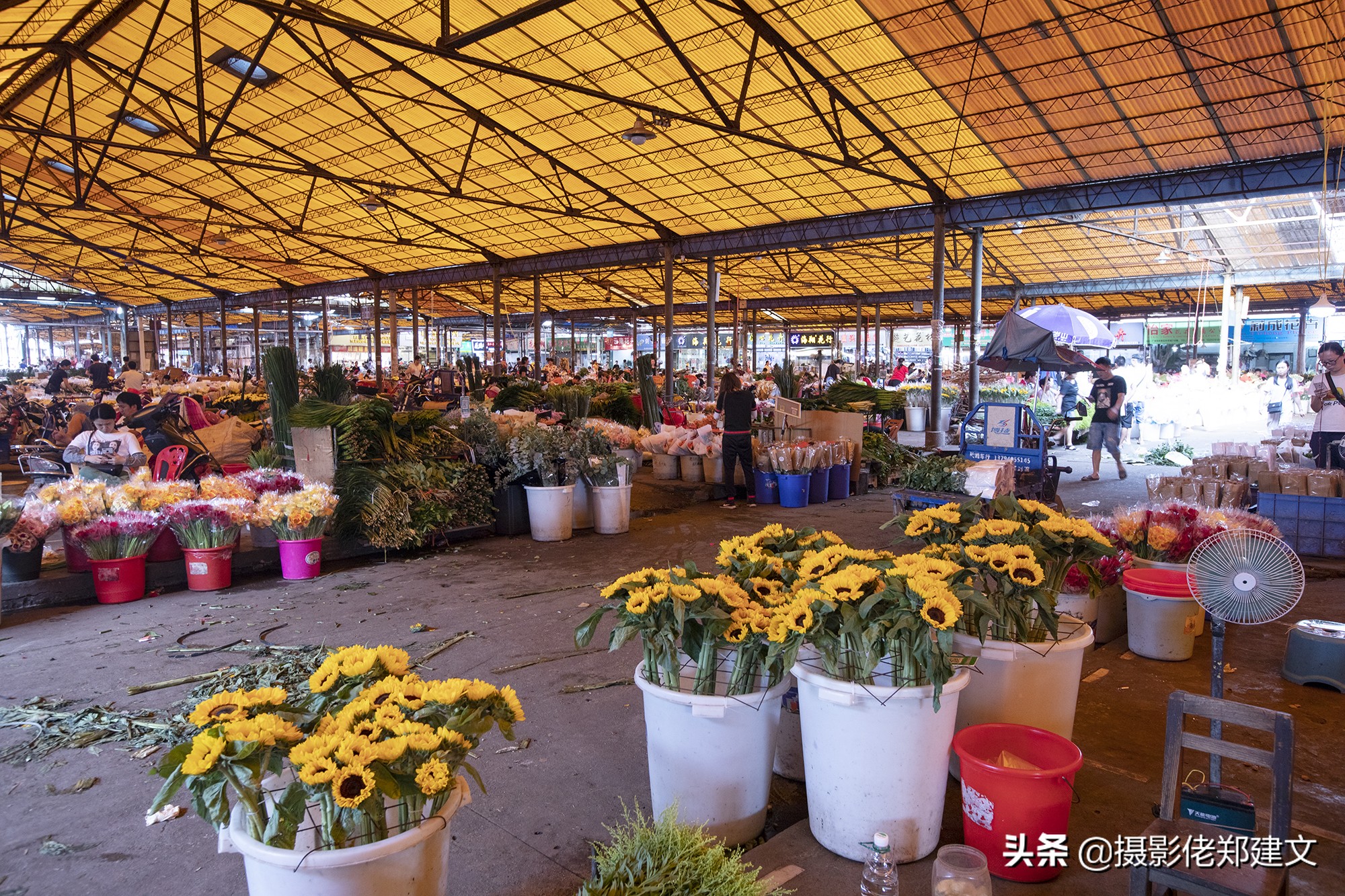 全国最大的鲜花交易市场,岭南花卉市场鲜花从哪里来
