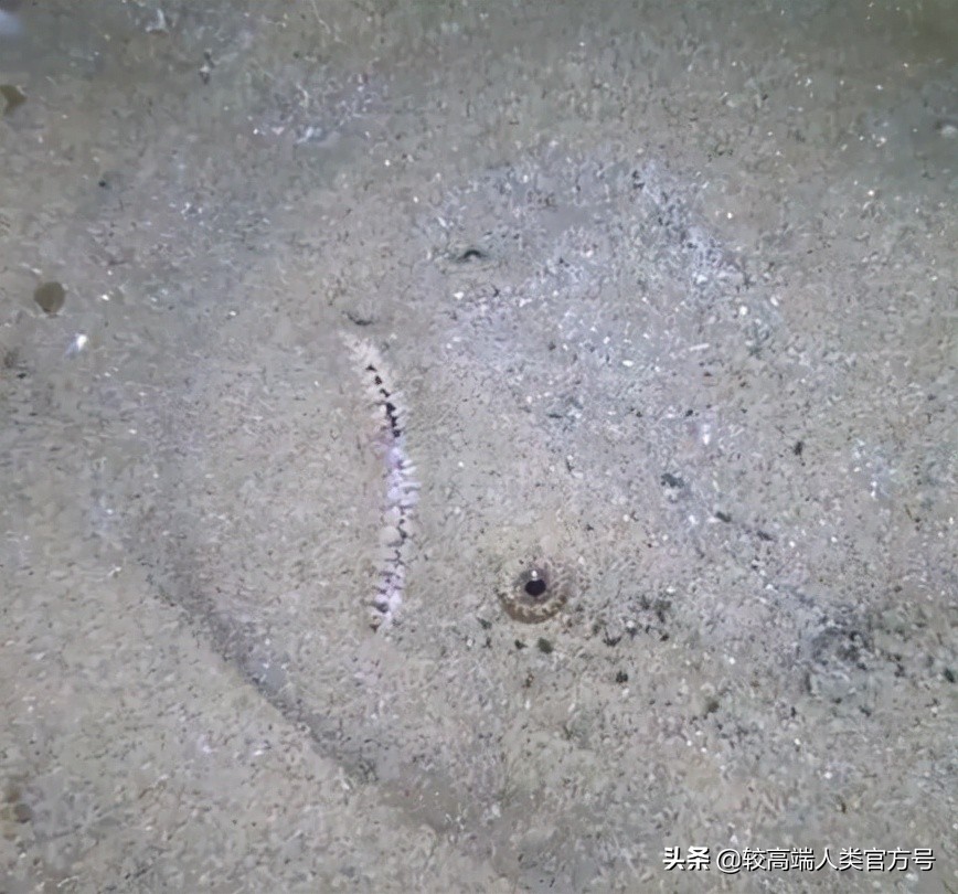 和直男聊天到底有多惨,和直男聊天到底有多折磨人