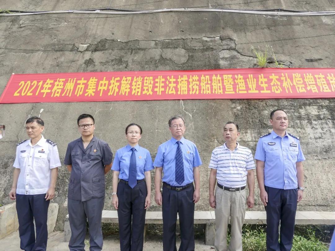 我为群众办实事法院工作报道,我为群众办实事与乡村振兴相结合