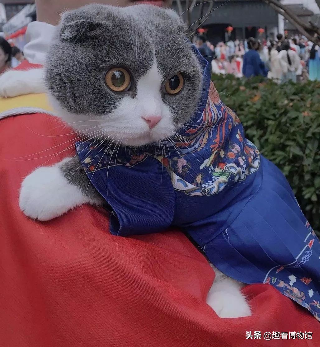 原来穿汉服也那么好看,穿汉服更美