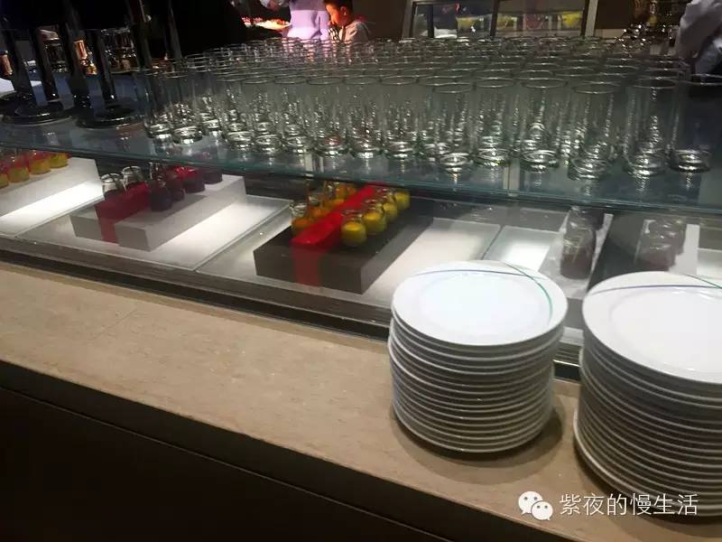 苏州带宠物去的古镇,苏州小众宠物乐园推荐