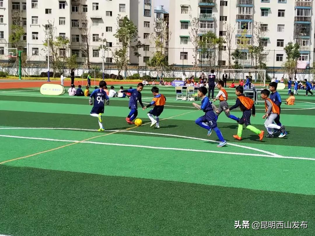 激情绿茵,校园足球联赛精彩纷呈