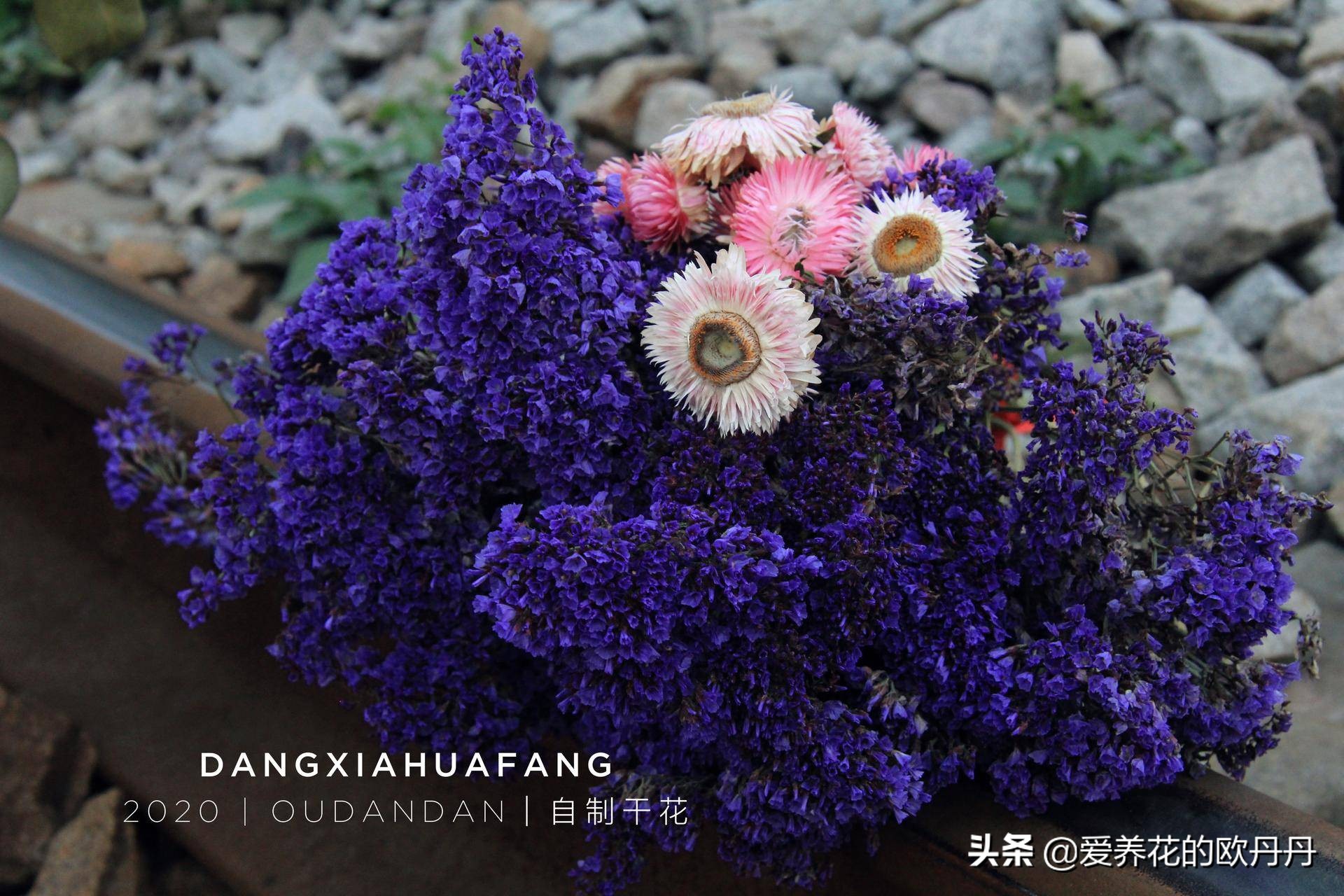 干花diy相框儿童,干花diy相框自制