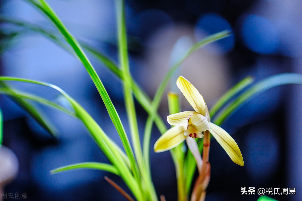 易学思维管理,易学与思维方式